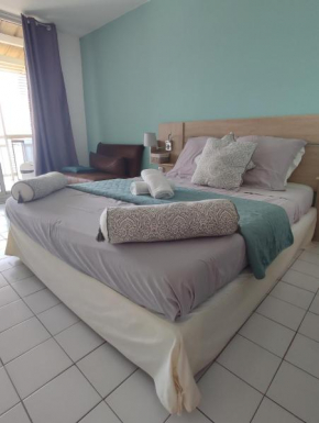 Studio vue mer et rocher du Diamant Antilles